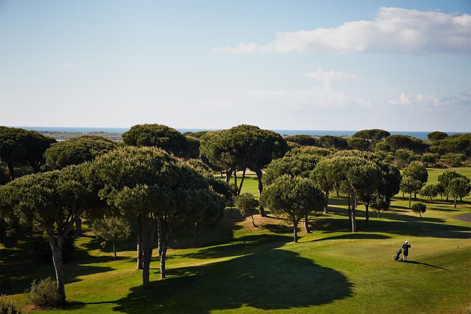 A tree-lined fairway with the sea behind at El Rompido Golf