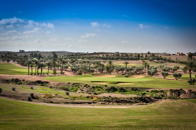 A dry riverbed and palms at Assoufid